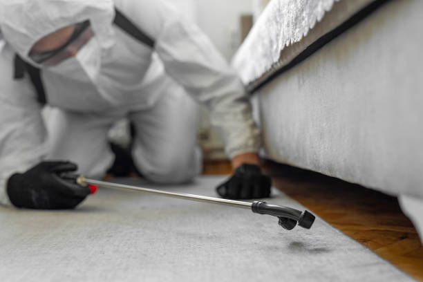 Professional Termite Control technician working in Orwigsburg, PA