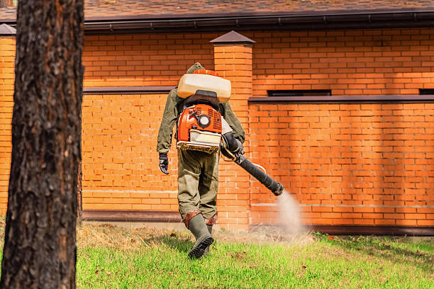 Trusted Termite Control service in Orwigsburg, PA - Nex Pest Control